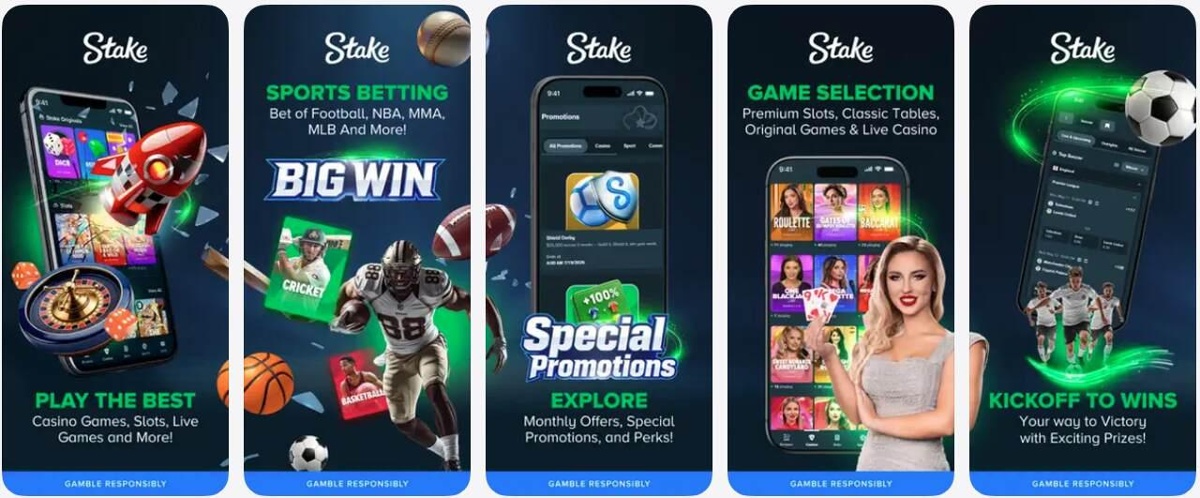 Stake software provider sweeps casino